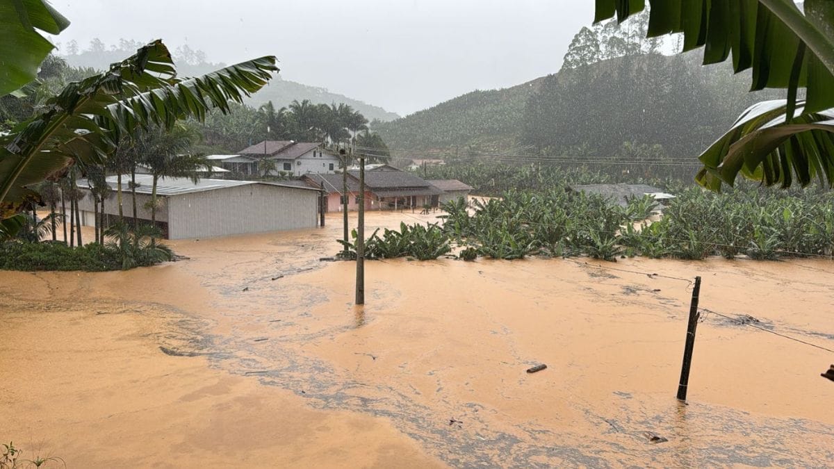 Cidades submersas: chuvas transformam ruas em rios em SC