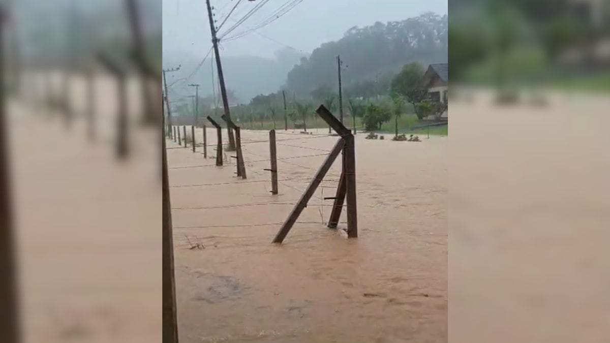 Cidades submersas: chuvas transformam ruas em rios em SC