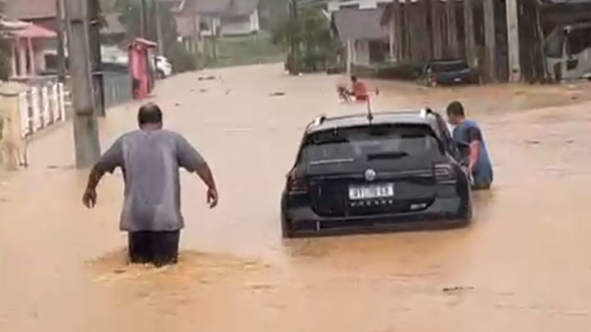 Cidades submersas: chuvas transformam ruas em rios em SC