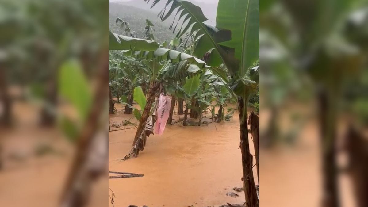 Cidades submersas: chuvas transformam ruas em rios em SC