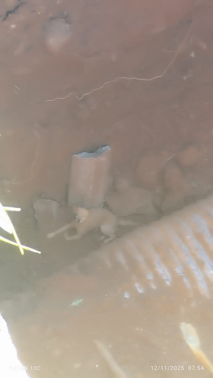 Cratera em rua preocupa moradores do Núcleo João Paulo em Apucarana