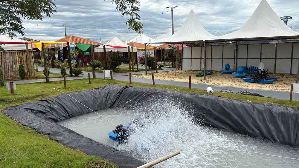 Expovale 2025 abre nesta sexta com expectativa de público recorde