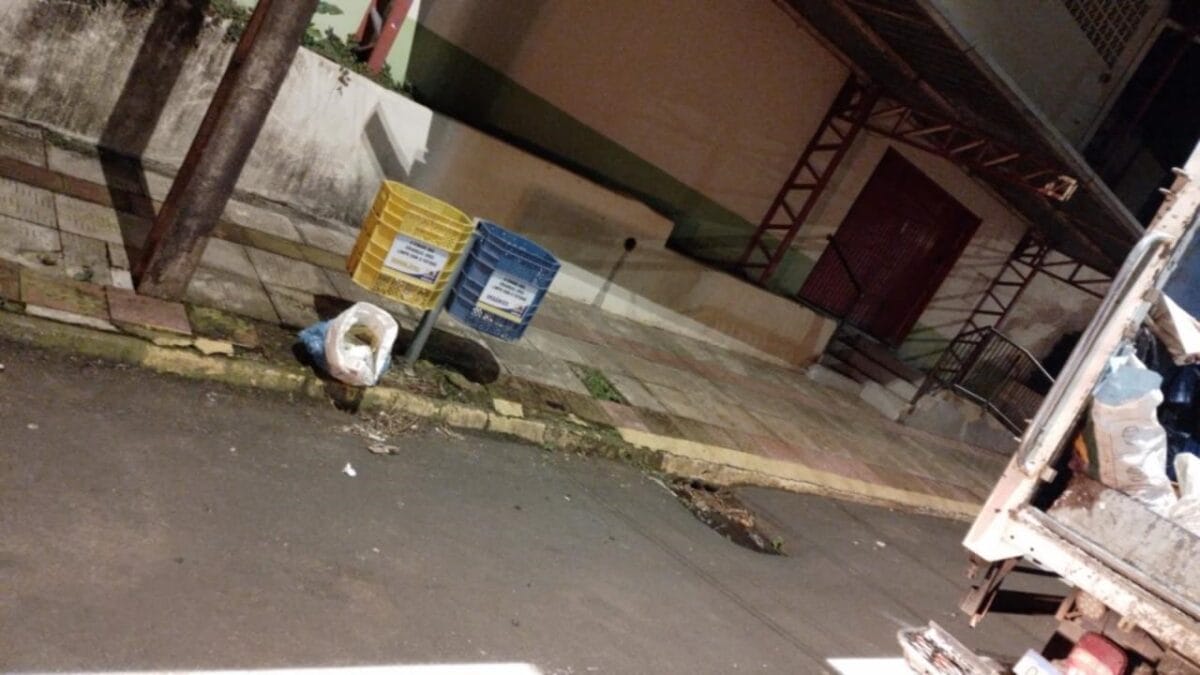 Garis se ferem com agulhas e empresária é indiciada em SC