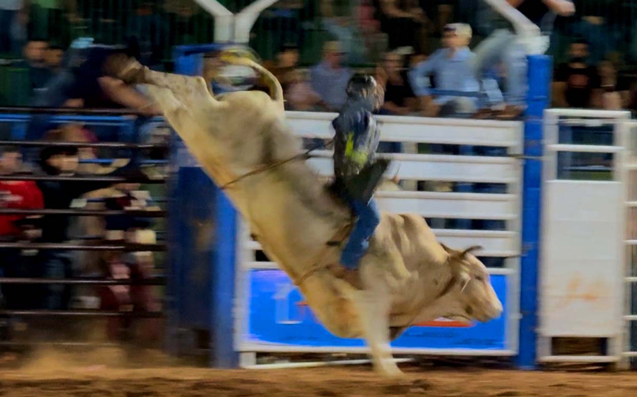 Gino & Geno e abertura do rodeio levantam o público na Expovale