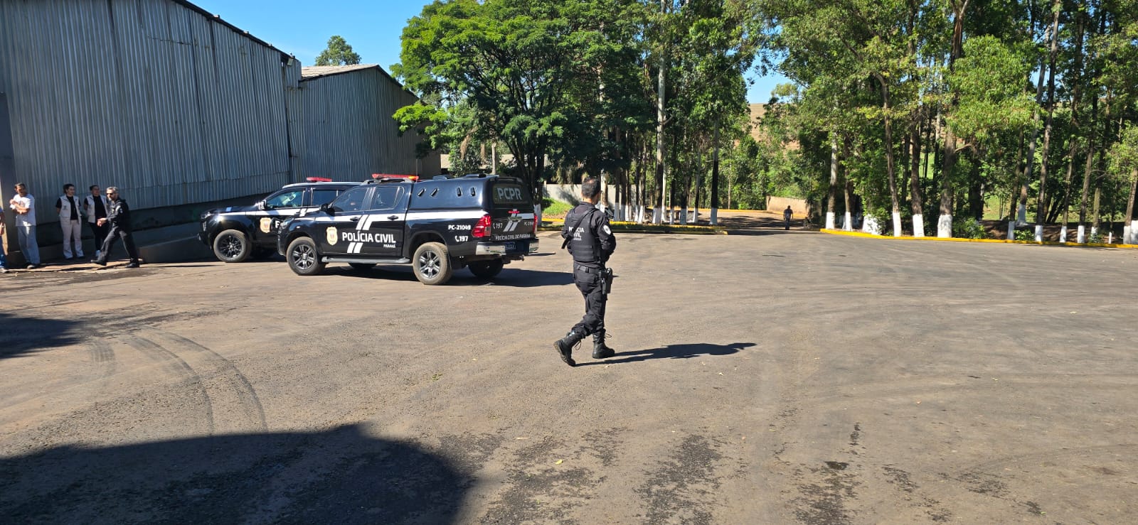 Polícia Civil de Apucarana incinera cinco toneladas de maconha