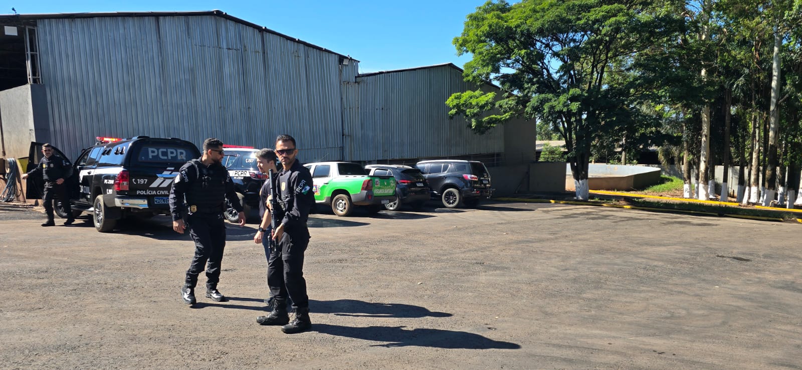 Polícia Civil de Apucarana incinera cinco toneladas de maconha