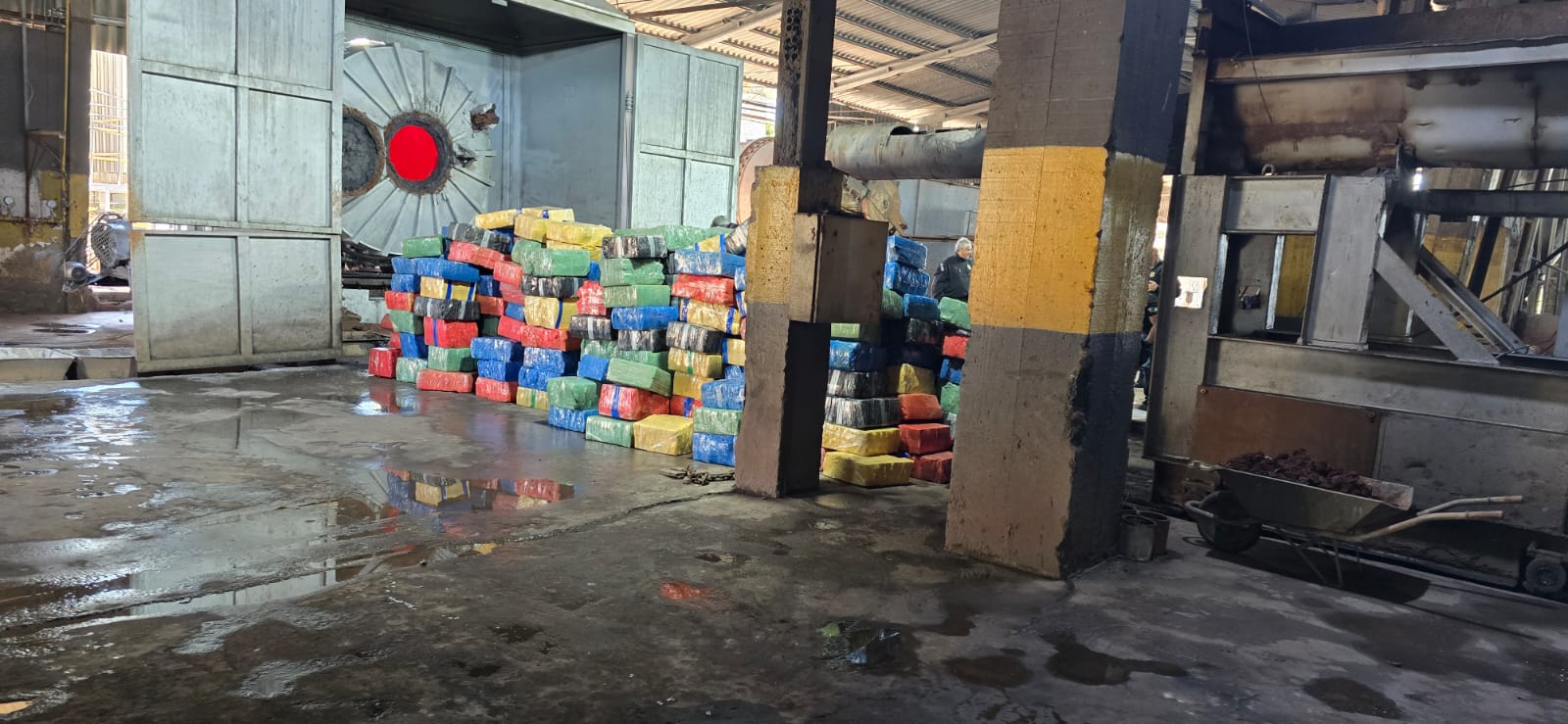 Polícia Civil de Apucarana incinera cinco toneladas de maconha