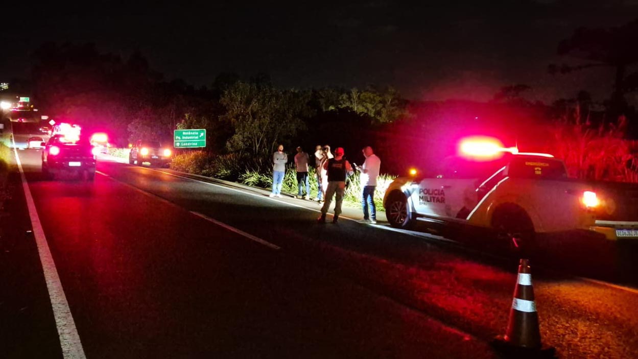Quatro ficam feridos após atropelamento de capivara na PR-986