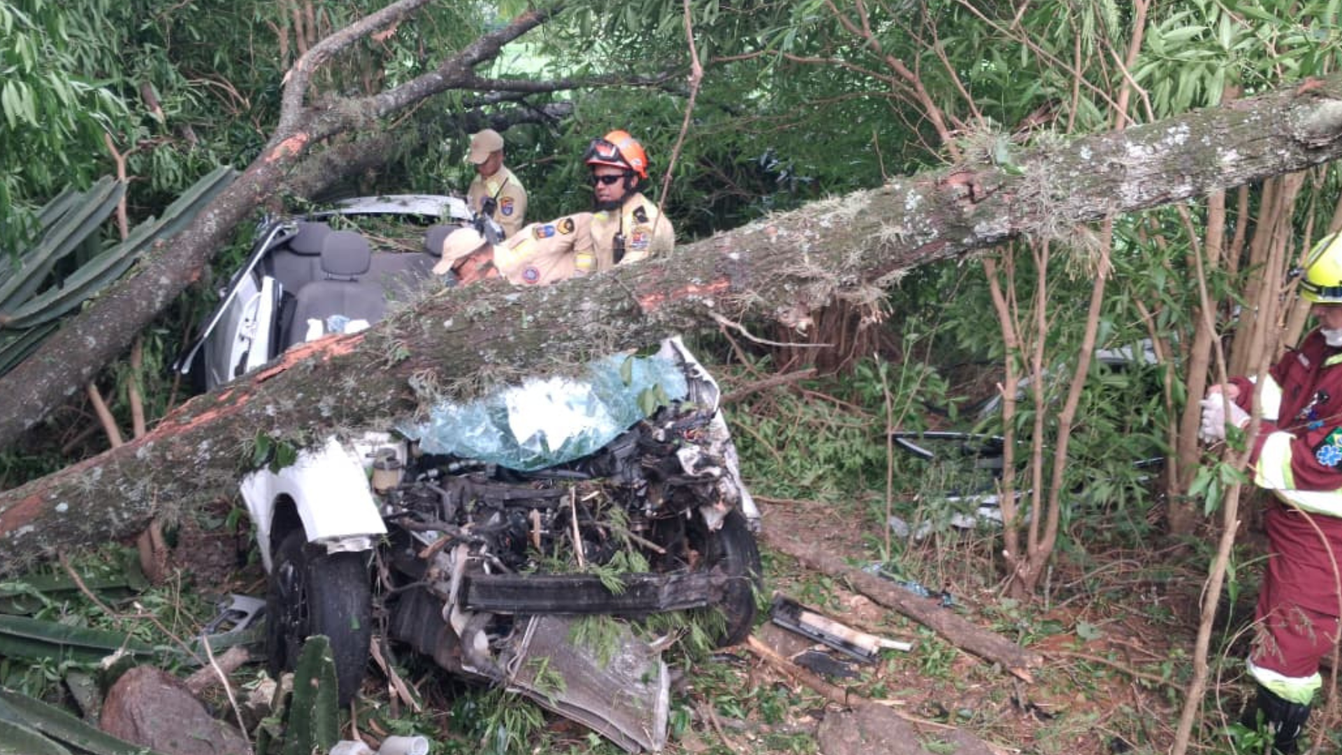 Carro que caiu em uma ribanceira