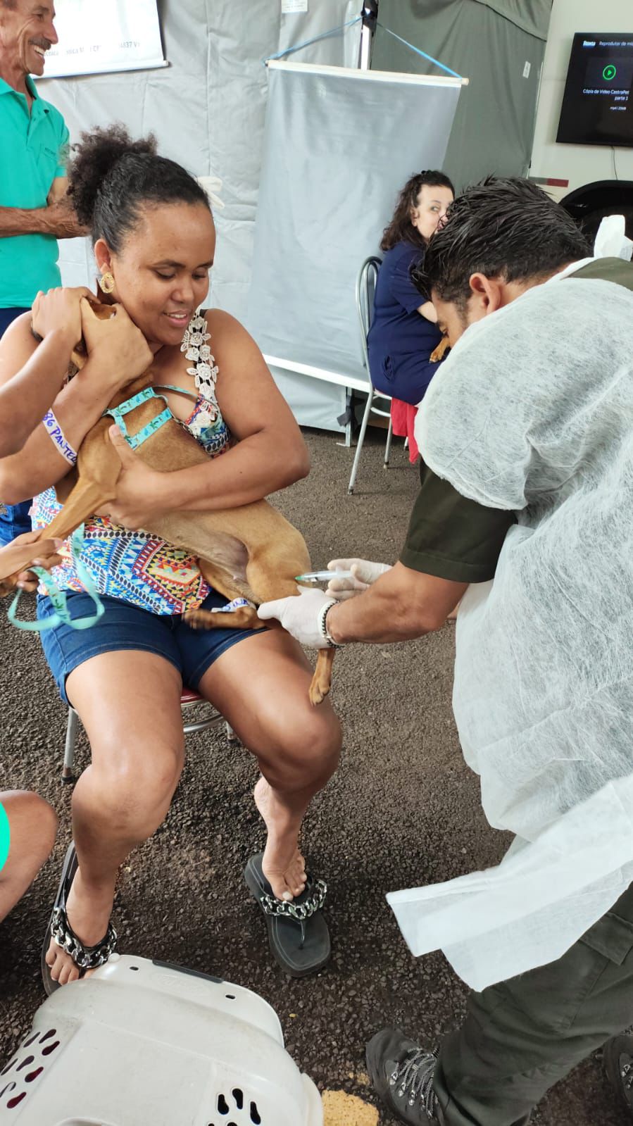 Jandaia do Sul conclui etapa do Castrapet com 278 animais esterilizado