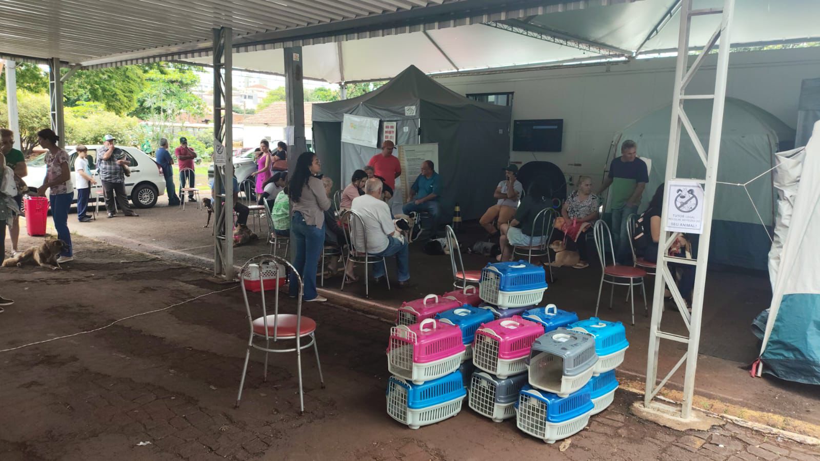 Jandaia do Sul conclui etapa do Castrapet com 278 animais esterilizado