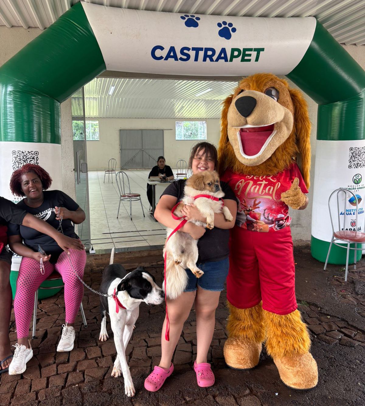 Jandaia do Sul conclui etapa do Castrapet com 278 animais esterilizado