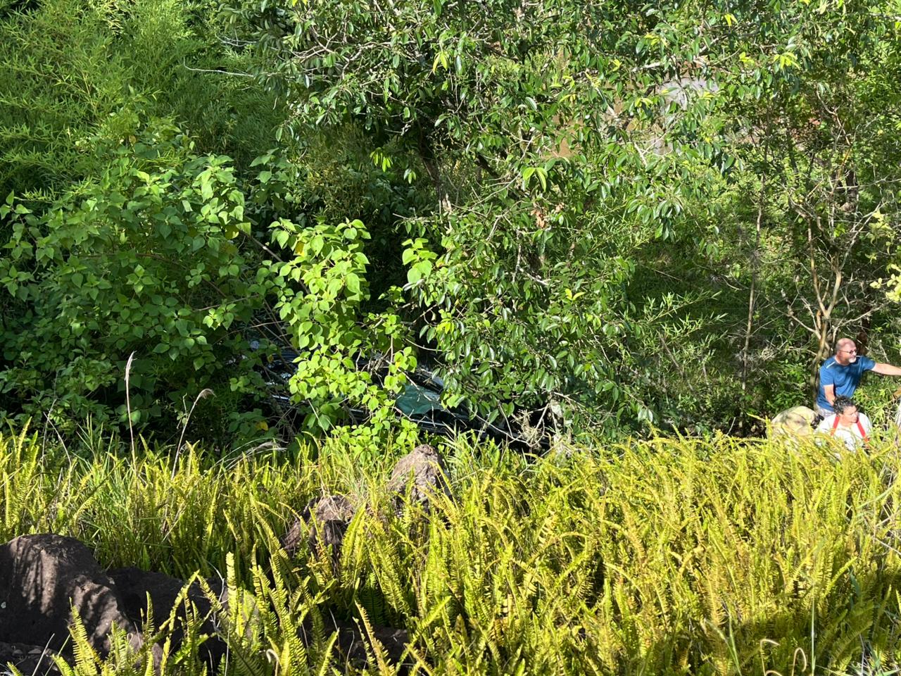 Carro com dois ocupantes cai em ribanceira na Rodovia do Milho