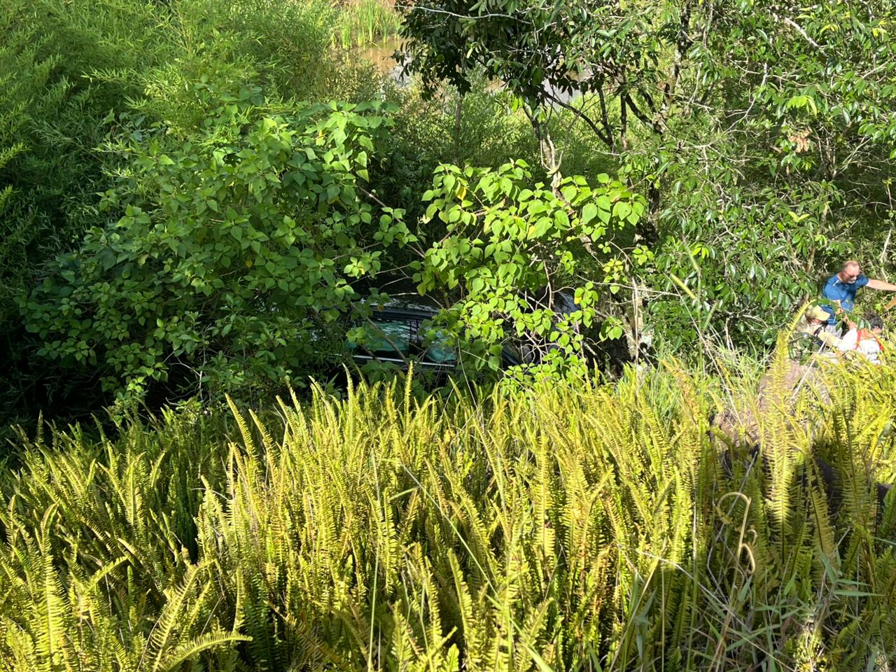 Carro com dois ocupantes cai em ribanceira na Rodovia do Milho