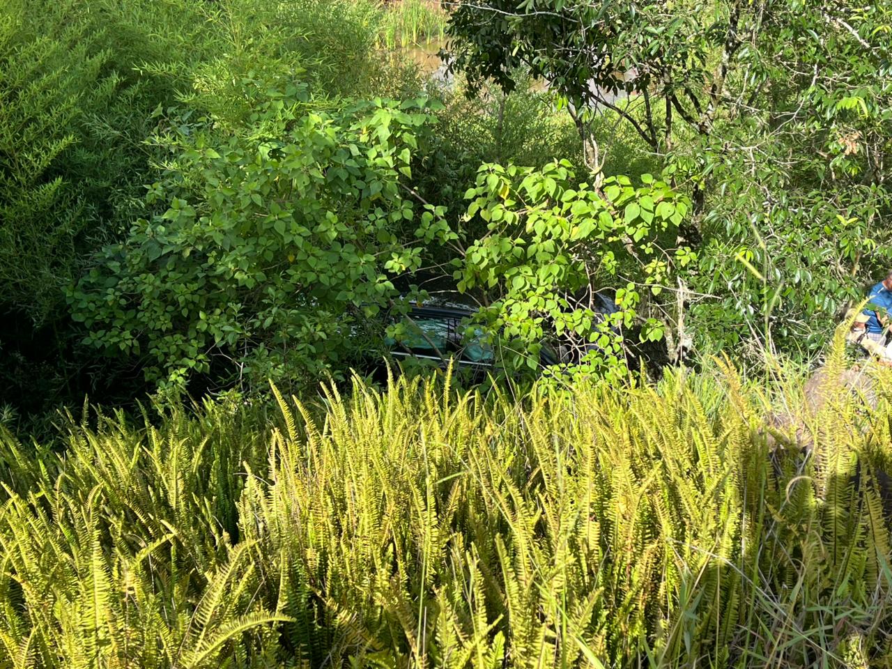 Carro com dois ocupantes cai em ribanceira na Rodovia do Milho