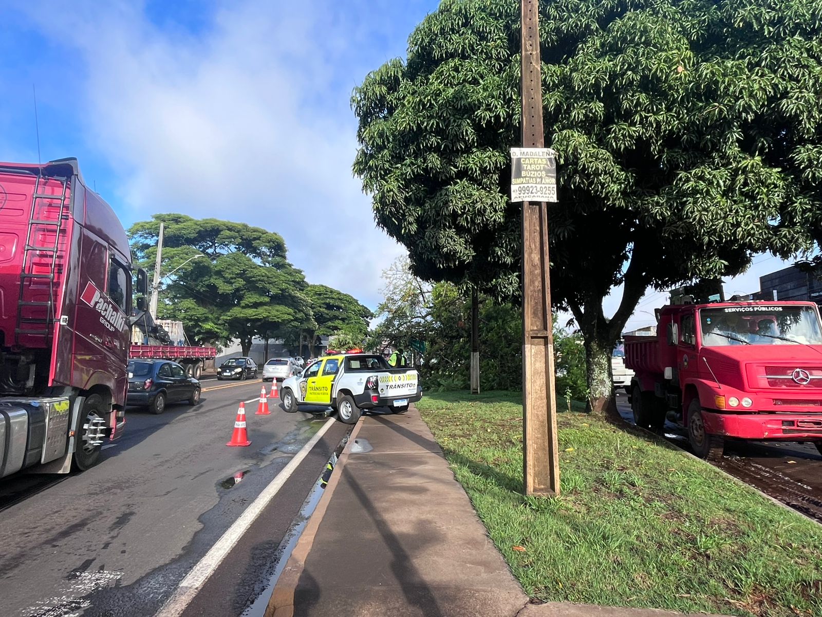 Queda de árvore interdita via e mobiliza equipes na Avenida Minas Gerais