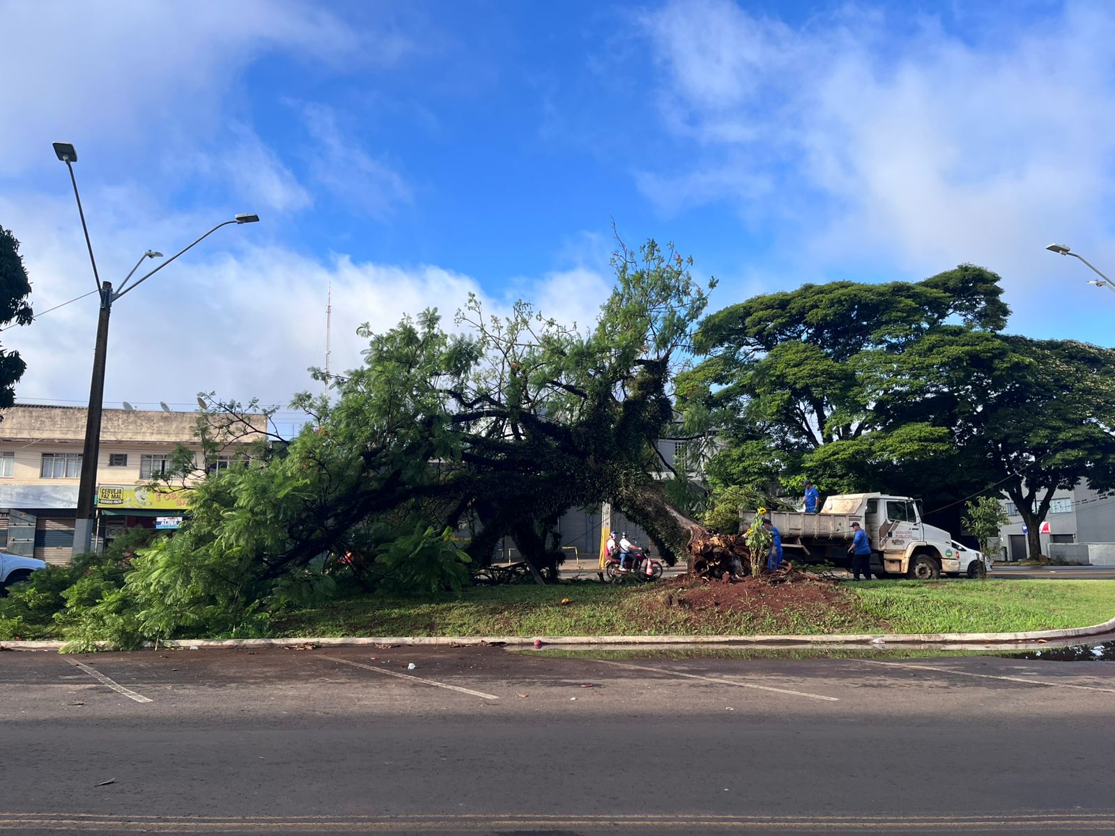 Queda de árvore interdita via e mobiliza equipes na Avenida Minas Gerais