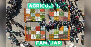 Segurança alimentar