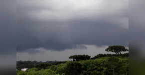 tempo