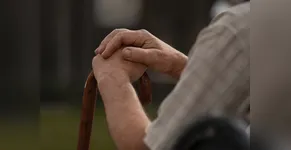 Denúncias