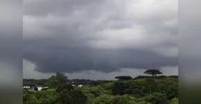 Previsão