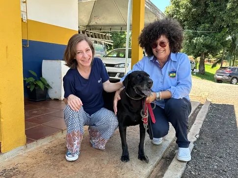 Cão idoso há mais tempo em centro de adoção de Apucarana ganha família após 4 anos de espera