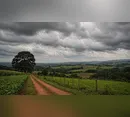 Ivaiporã terá máxima de 25°C e previsão de chuva nesta quarta-feira
