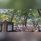 Confira os falecimentos desta quarta-feira (13) em Arapongas