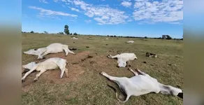 Crise climática