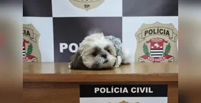 REENCONTRO