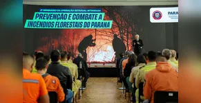 Combate e prevenção