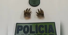 INVESITIGAÇÃO