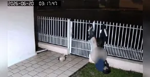 Inusitado