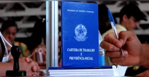 Carteira assinada