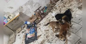 Vale do Itajaí