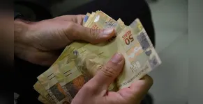 Novo lote