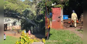 APUCARANA