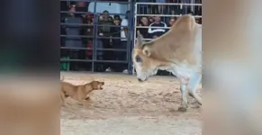 Goiás