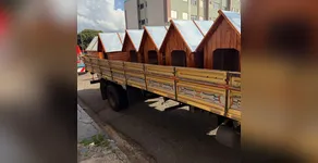 PROTEÇÃO ANIMAL