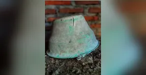 Criminalidade