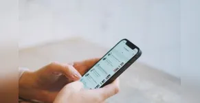 ÓDIO online