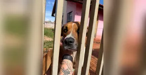 MULTA