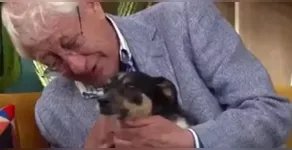 Veja o vídeo