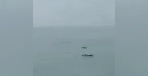 Veja o vídeo