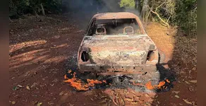 INCÊNDIO EM VEÍCULO