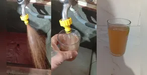 APUCARANA