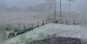 Clima