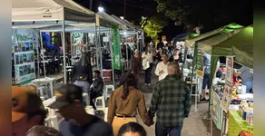 IVAIPORÃ