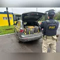 PRF apreende 897 kg de drogas em menos de 3 horas no Paraná
