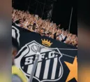 Santos x Cruzeiro: veja onde assistir jogo ao vivo pelo Brasileirão